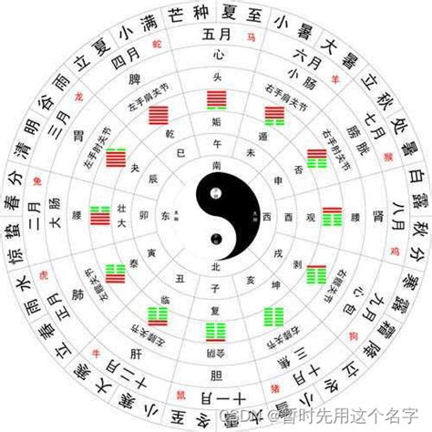 五行丁火|十天干與十二地支喜忌——丁火篇